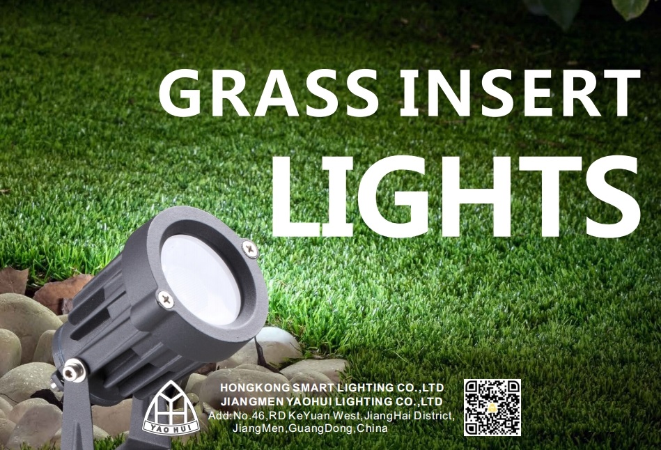 文件上传成功！