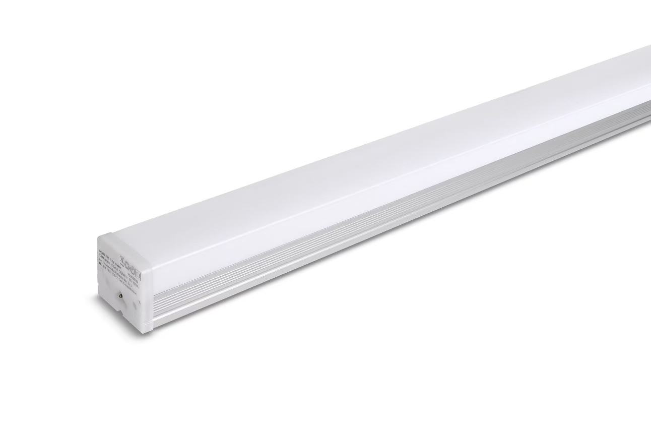 文件上传成功！