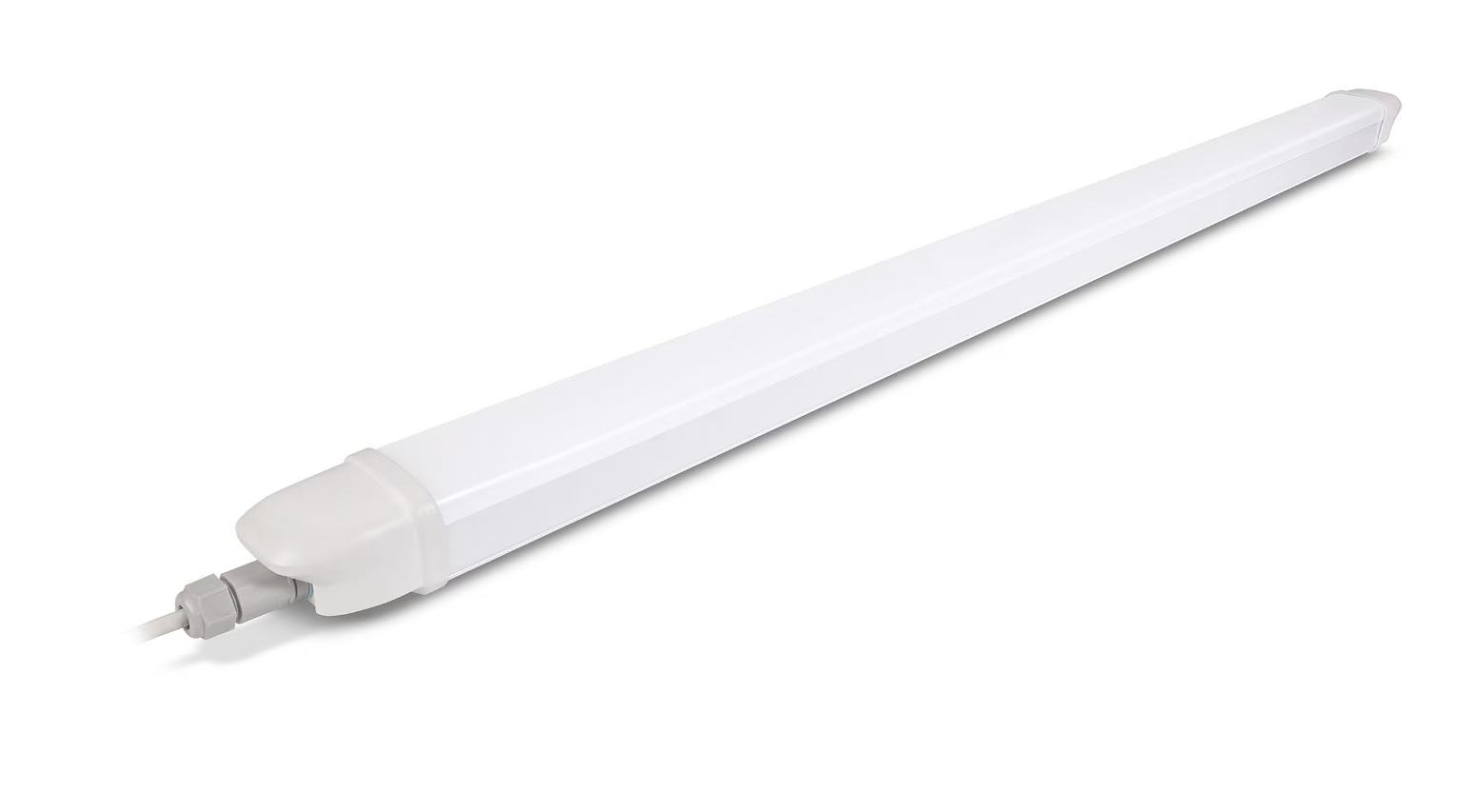 文件上传成功！