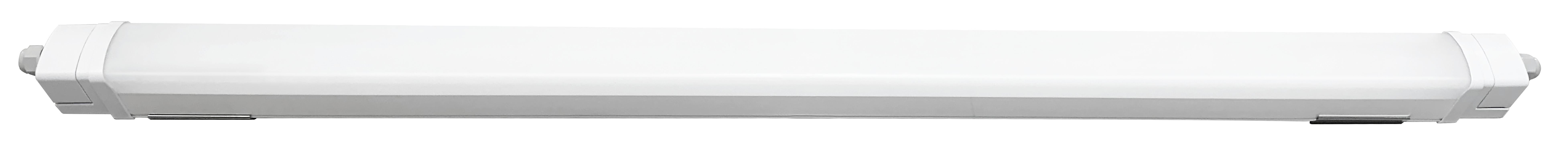 文件上传成功！