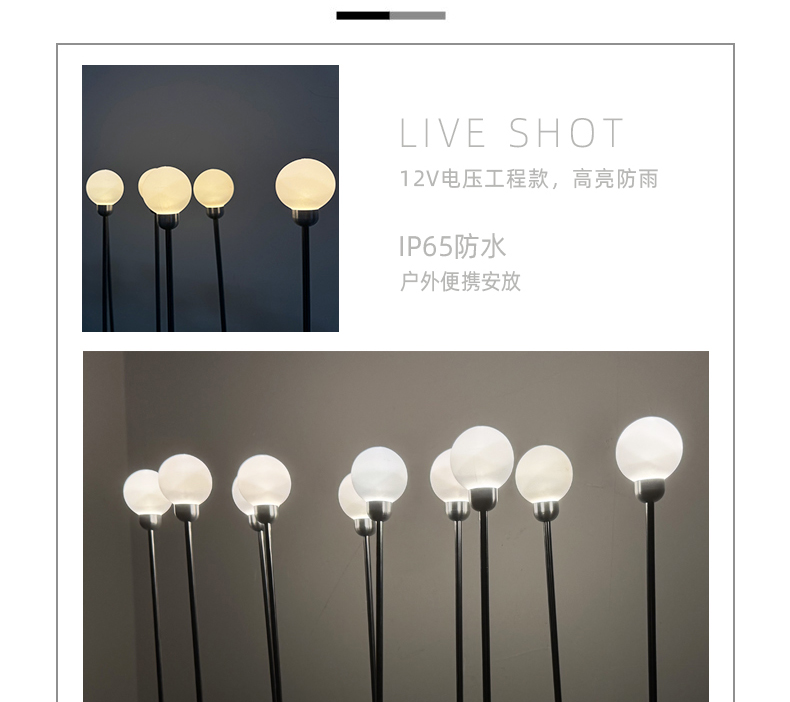 文件上传成功！