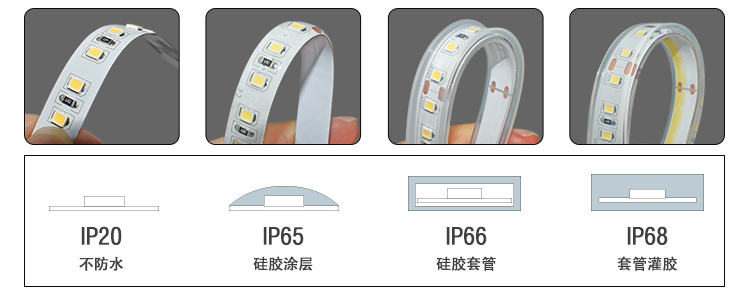 文件上传成功！