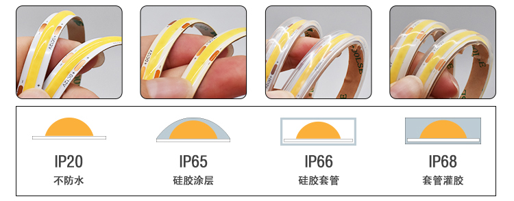 文件上传成功！