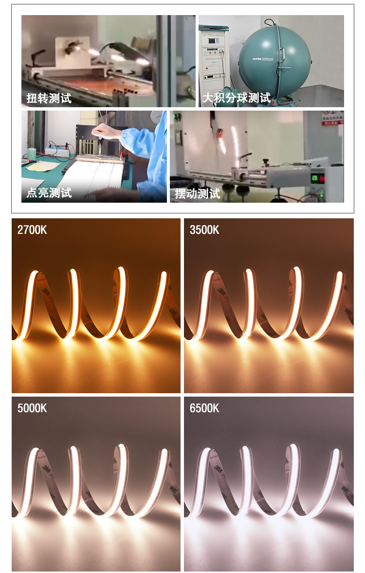 文件上传成功！