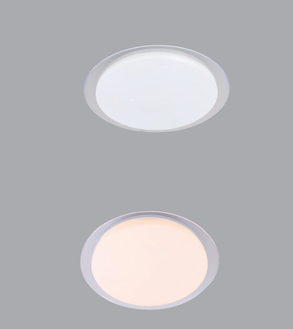 文件上传成功！