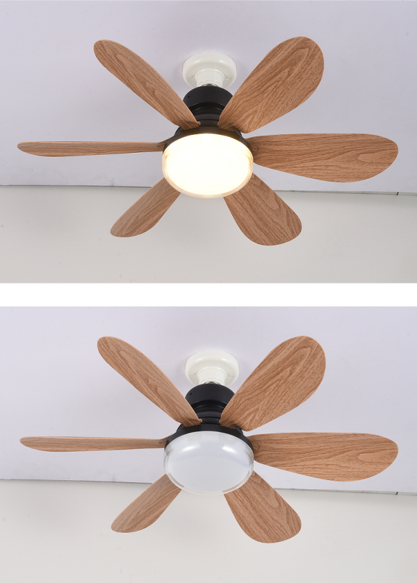 文件上传成功！