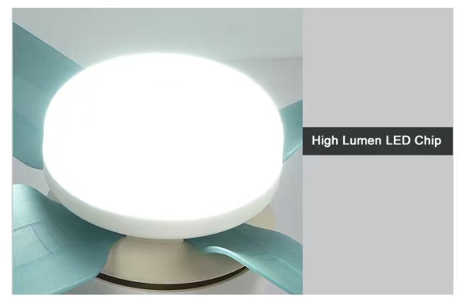 文件上传成功！