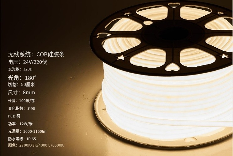 文件上传成功！