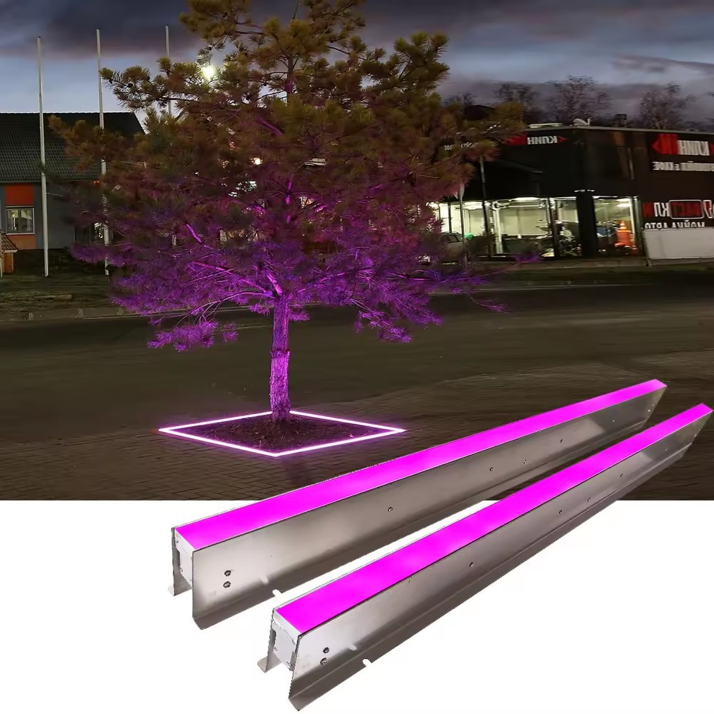 文件上传成功！