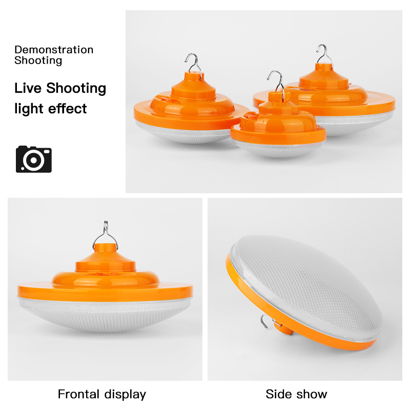 文件上传成功！