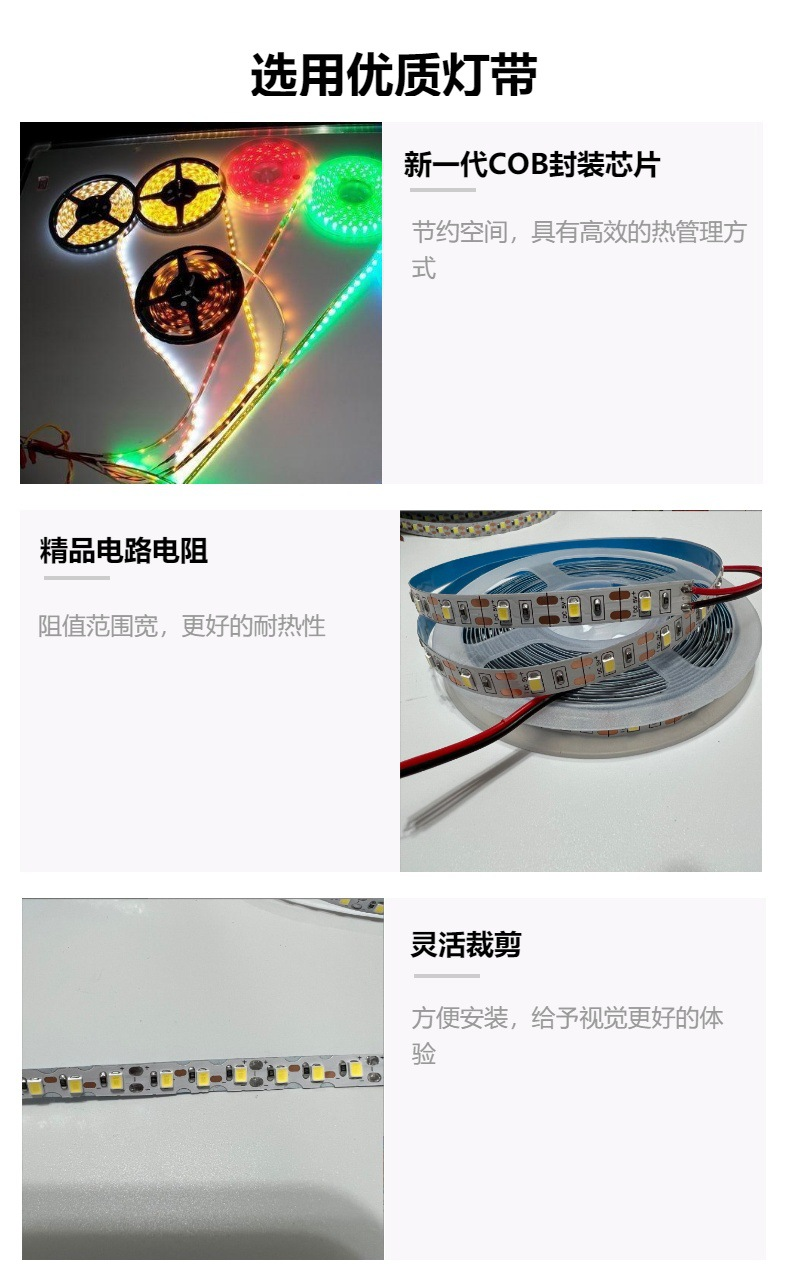 文件上传成功！