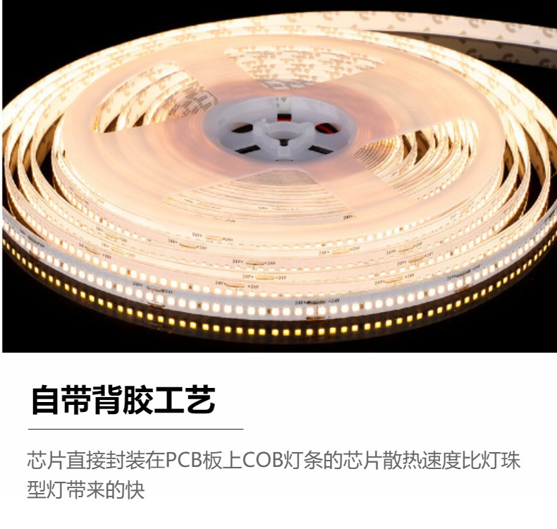 文件上传成功！