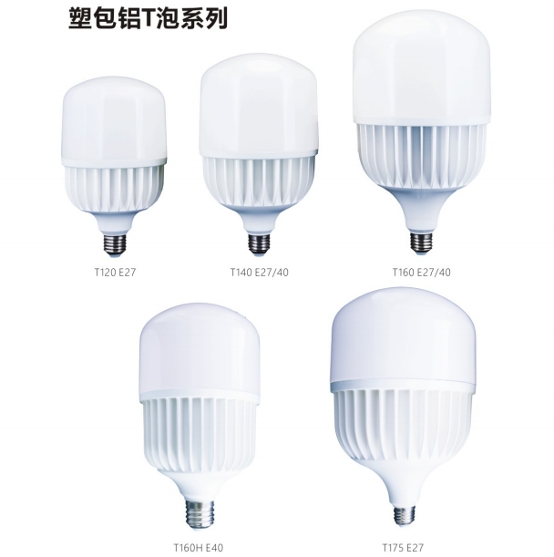 文件上传成功！