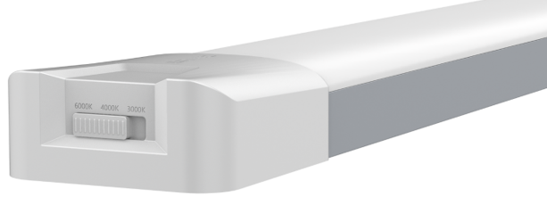 文件上传成功！