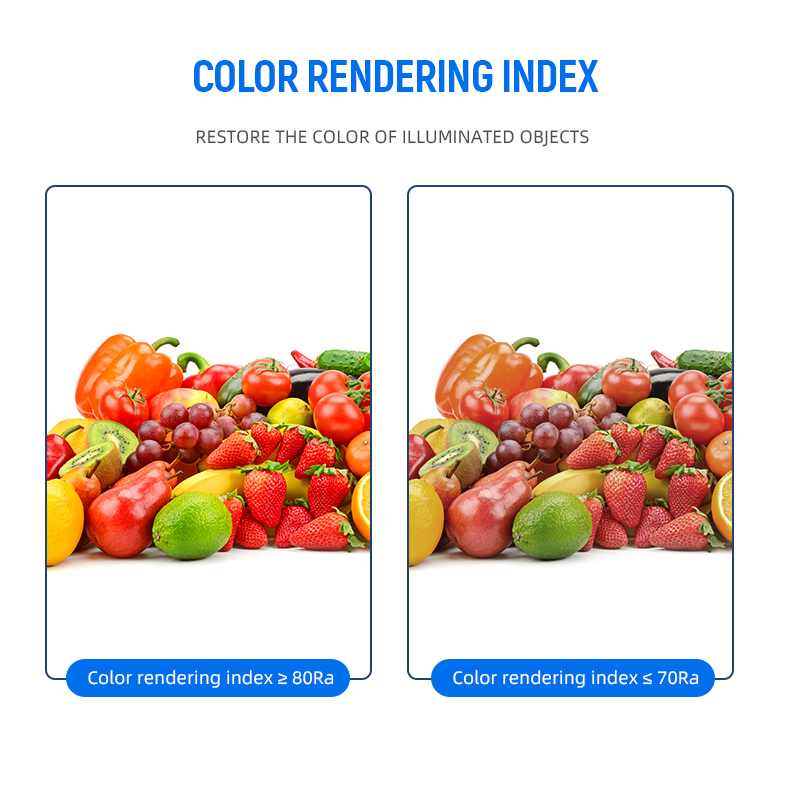 文件上传成功！