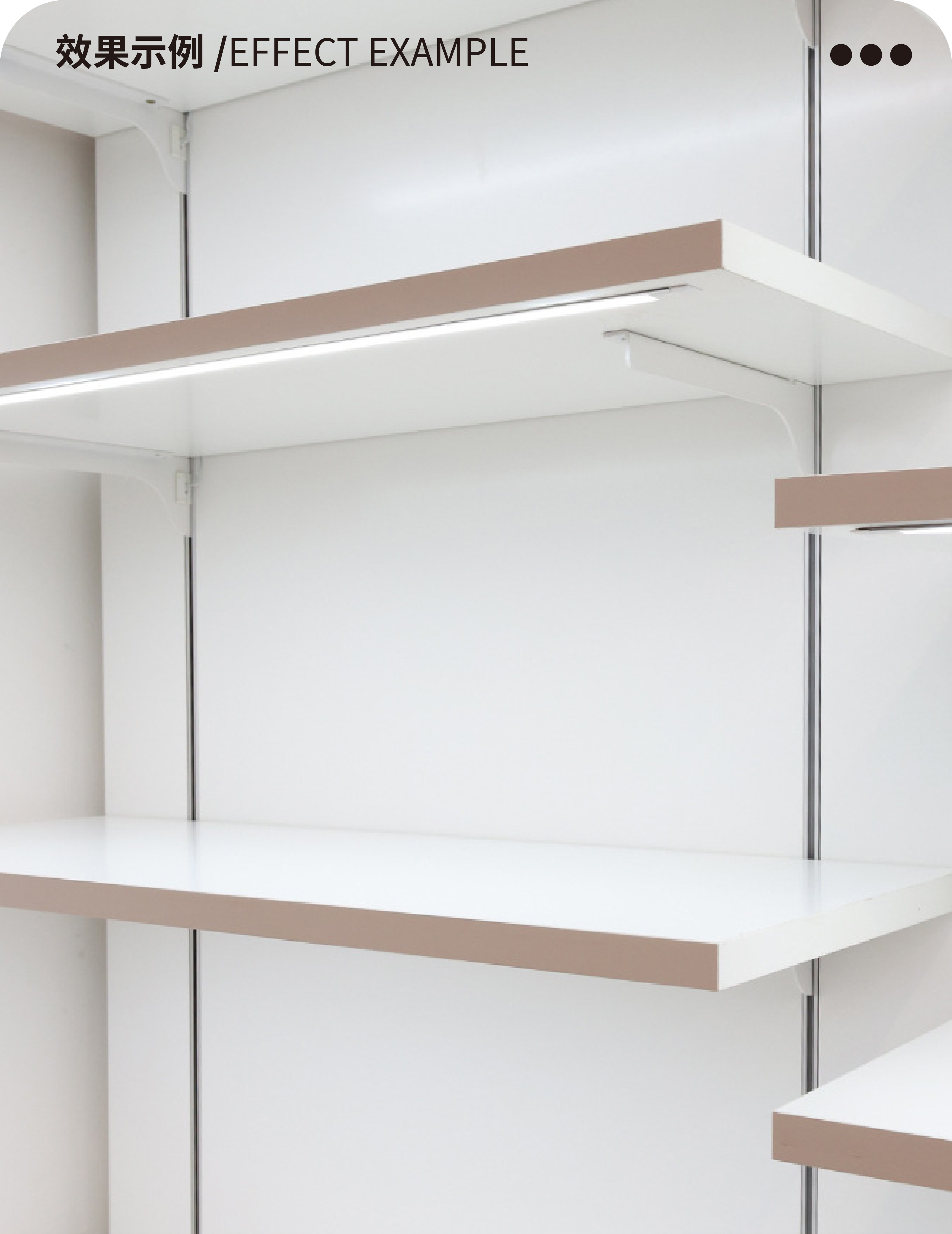 文件上传成功！