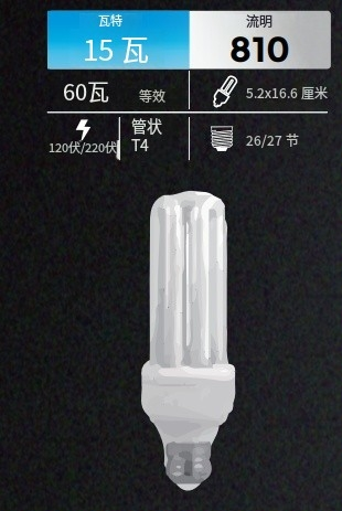 文件上传成功！