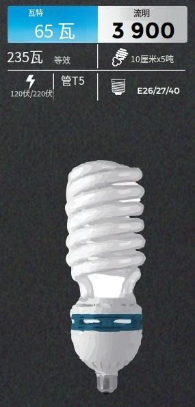 文件上传成功！