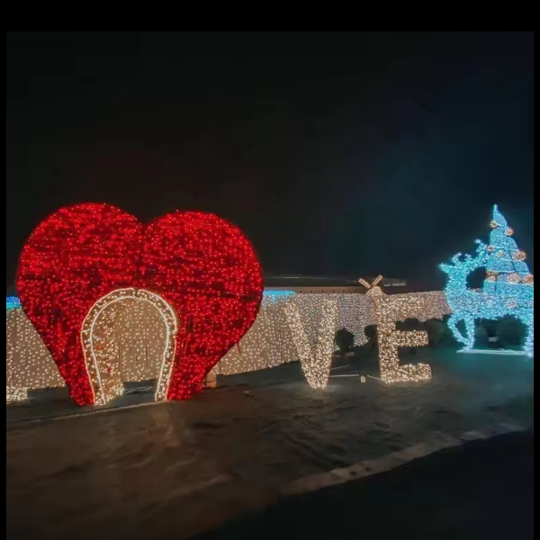 文件上传成功！