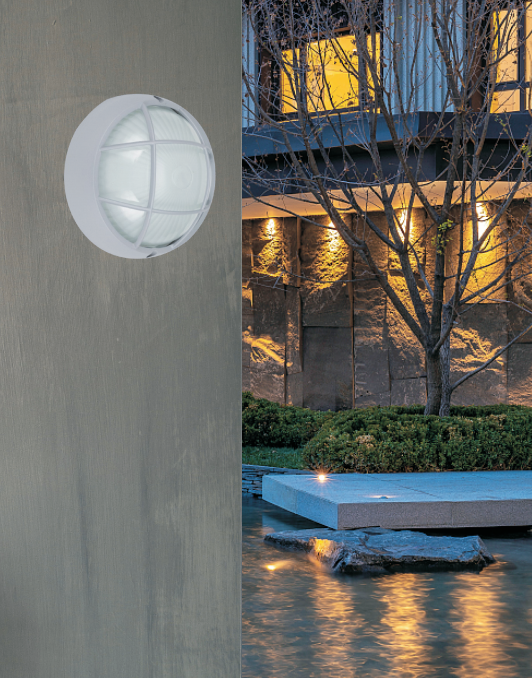 文件上传成功！