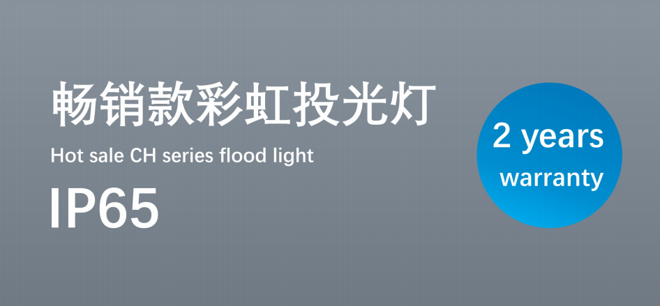 文件上传成功！