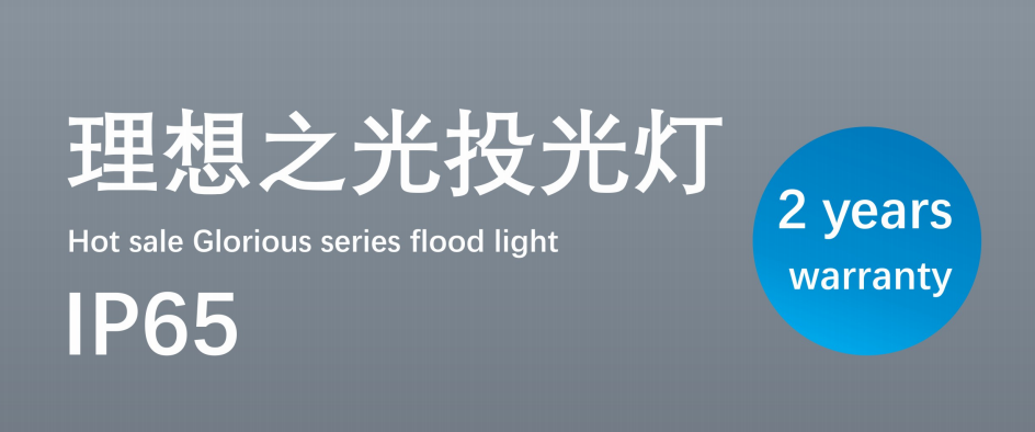 文件上传成功！