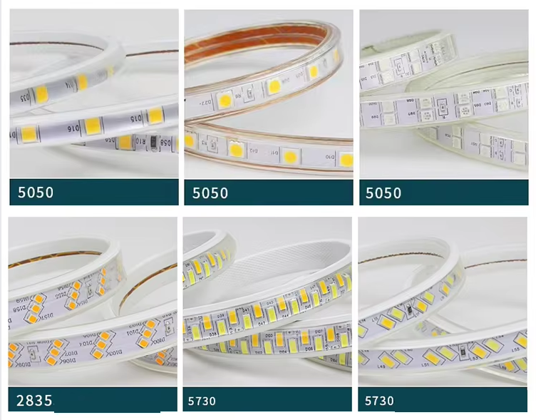 文件上传成功！