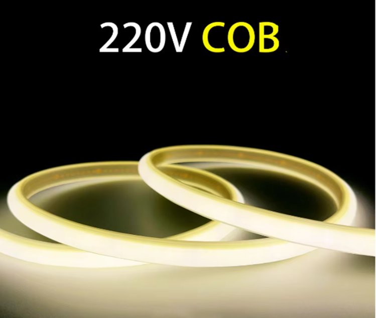 文件上传成功！