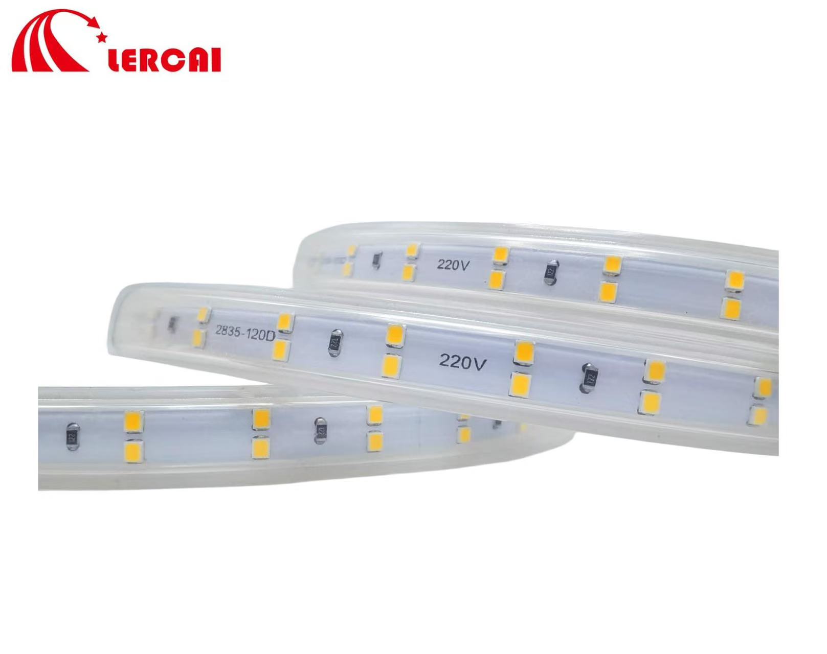 文件上传成功！