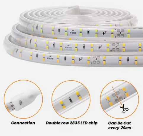 文件上传成功！