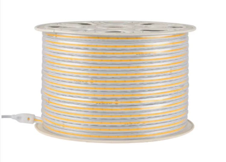 文件上传成功！