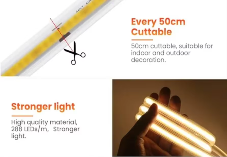 文件上传成功！