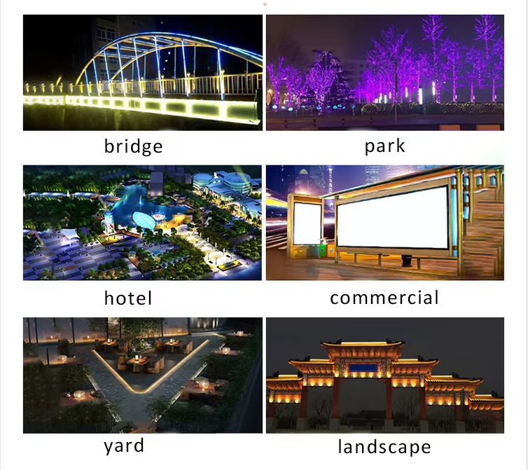 文件上传成功！