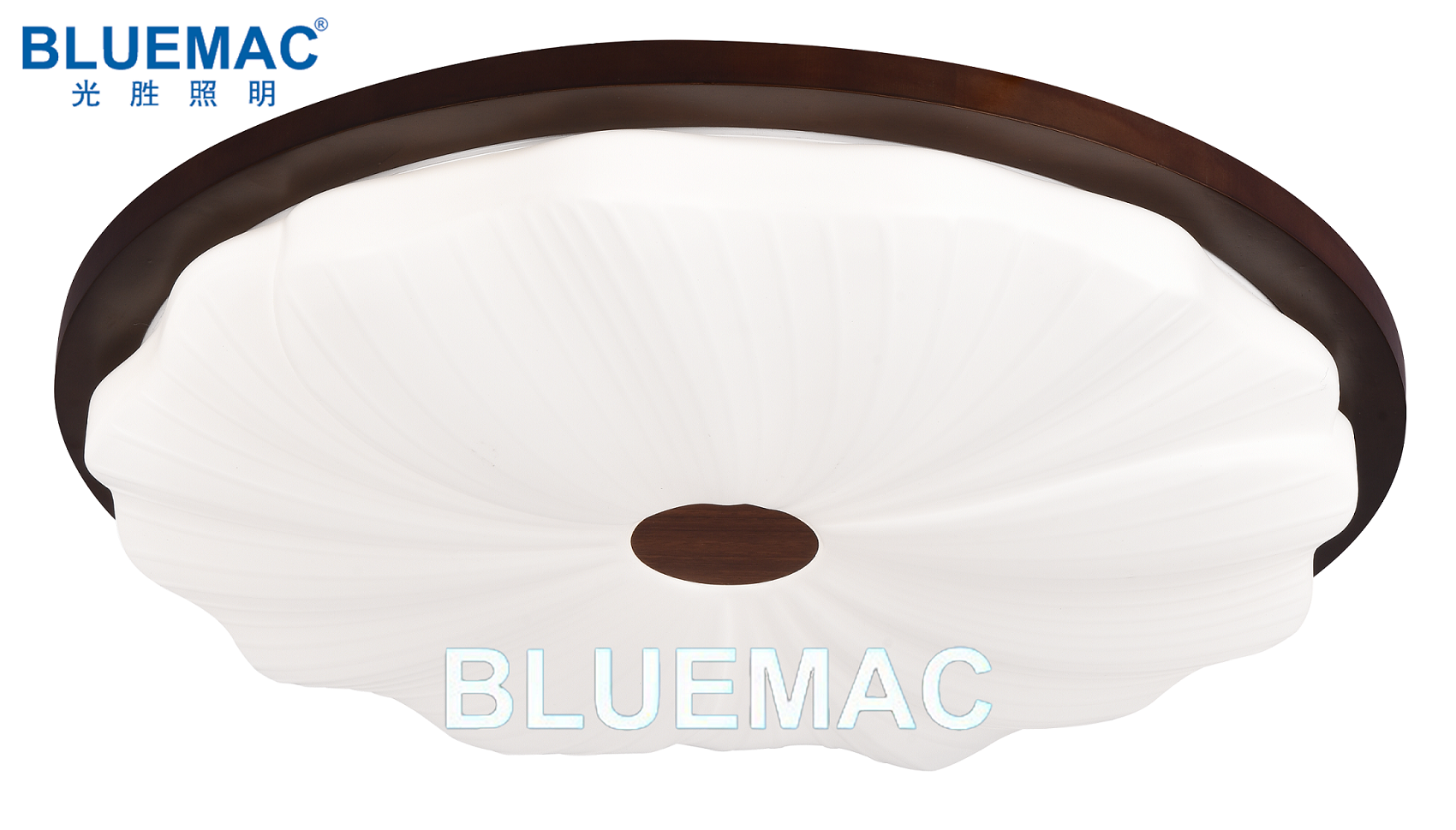 文件上传成功！