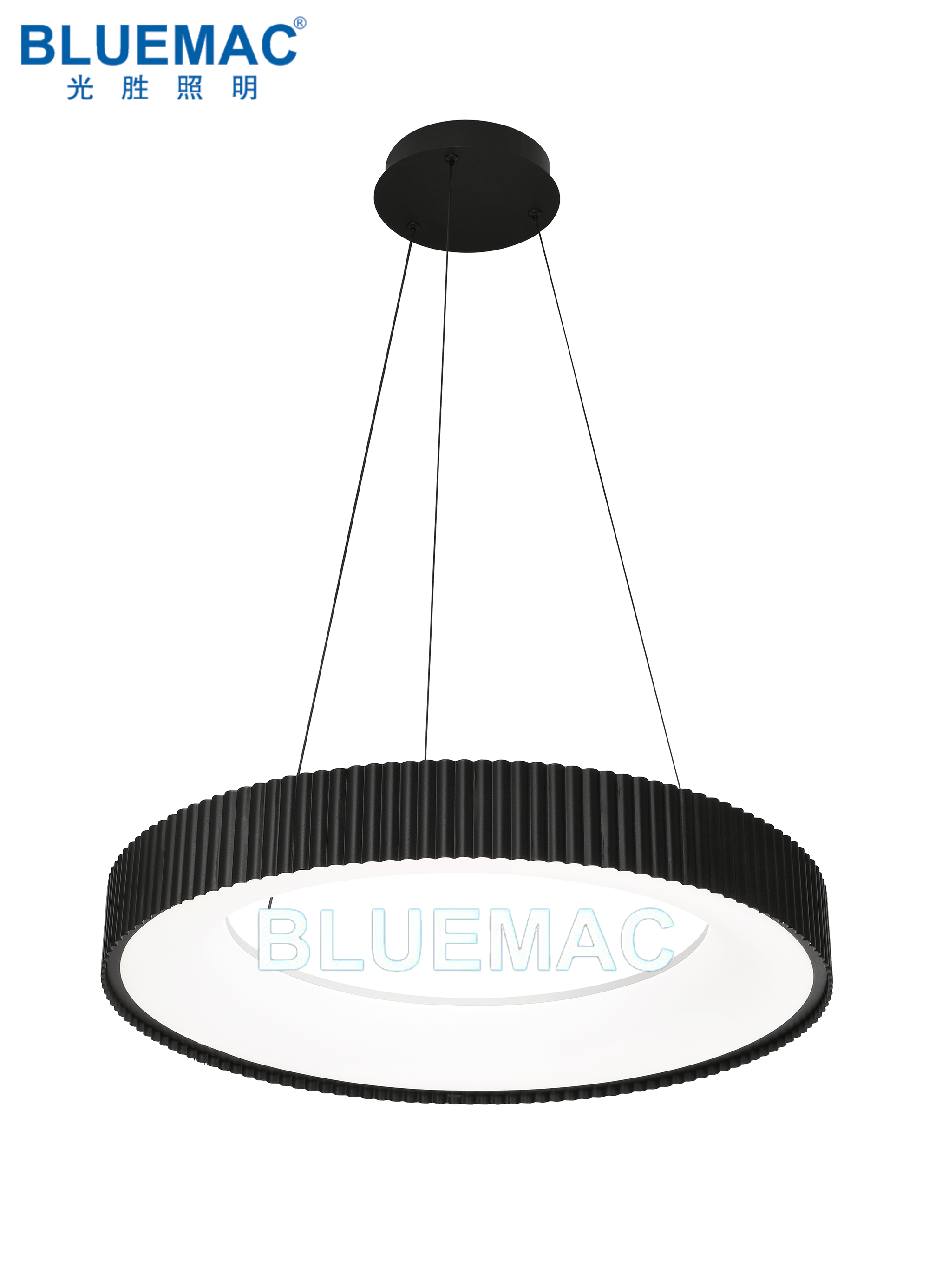 文件上传成功！