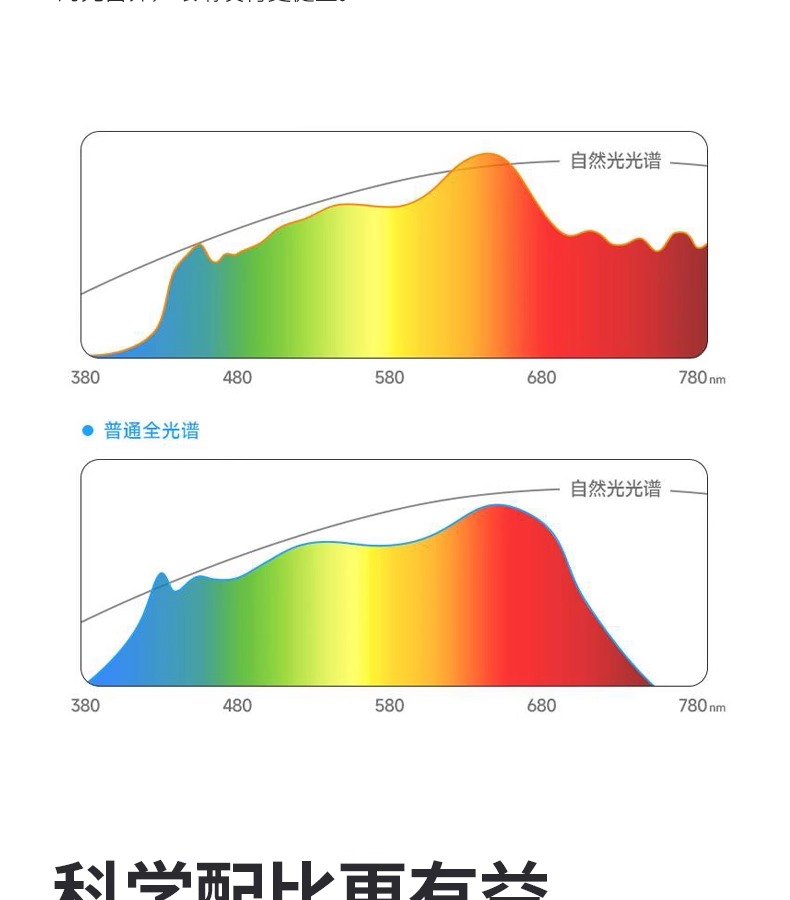 文件上传成功！