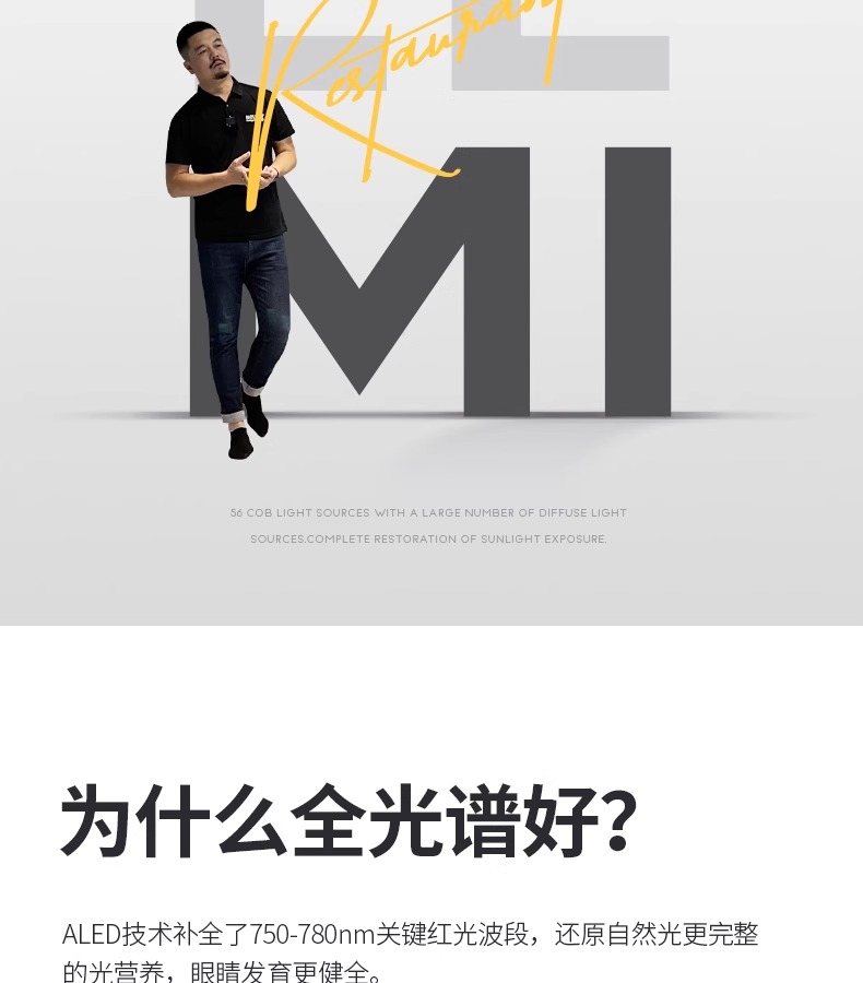 文件上传成功！