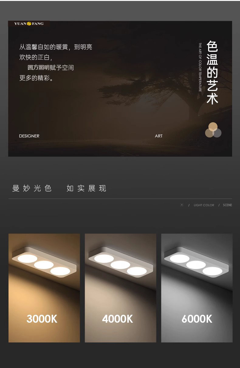 文件上传成功！