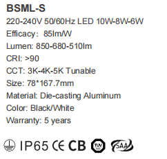 文件上传成功！