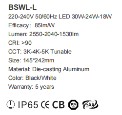 文件上传成功！