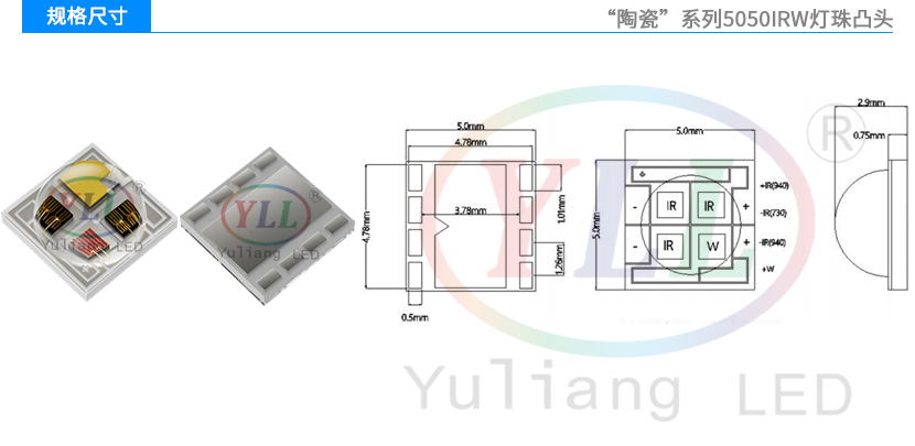 文件上传成功！