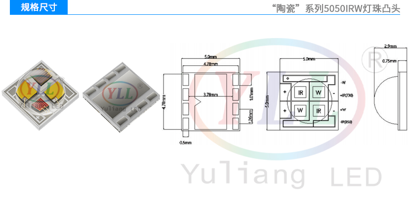 文件上传成功！
