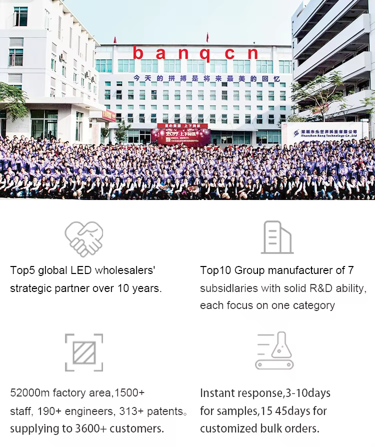 文件上传成功！