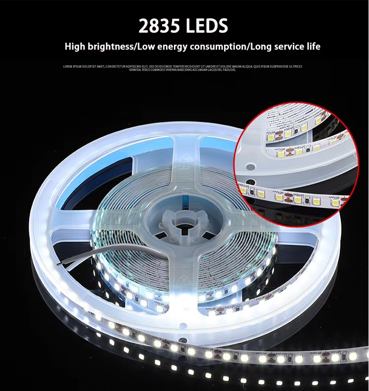 文件上传成功！