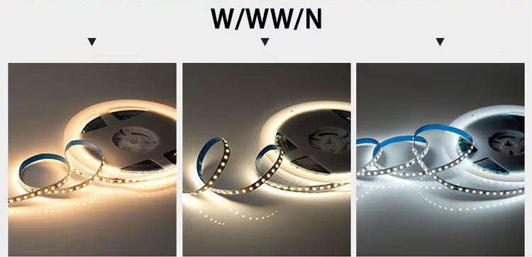 文件上传成功！