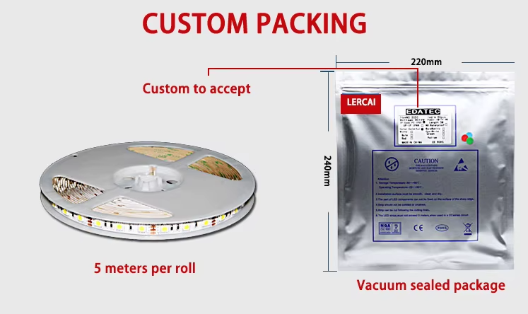 文件上传成功！