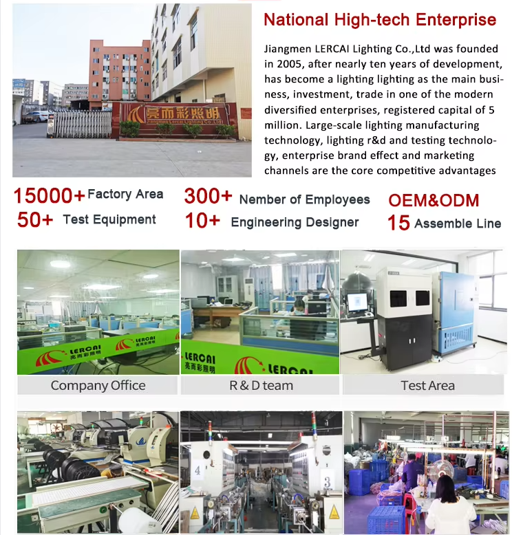 文件上传成功！