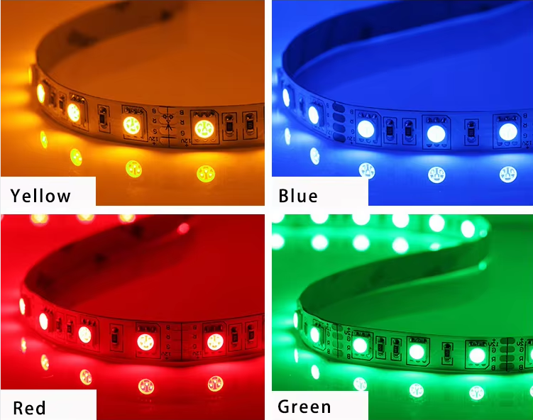 文件上传成功！