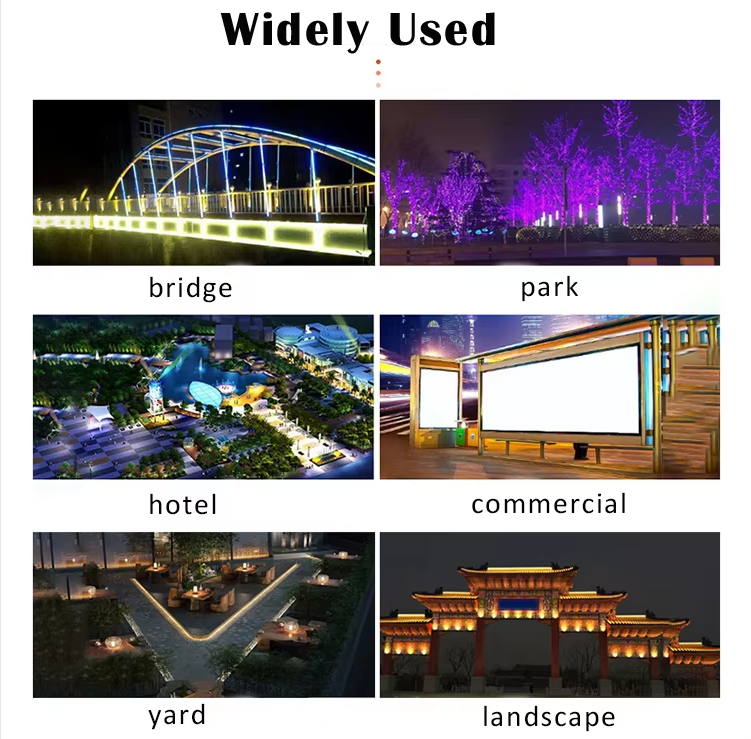 文件上传成功！