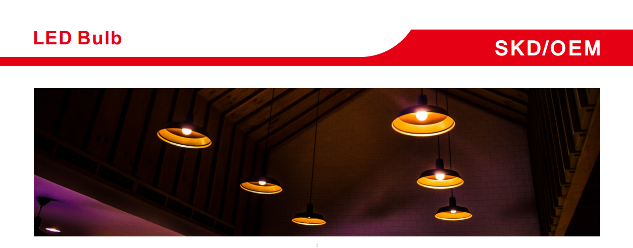 文件上传成功！